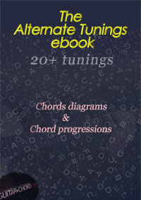 The Alternate Tunings ebook cover